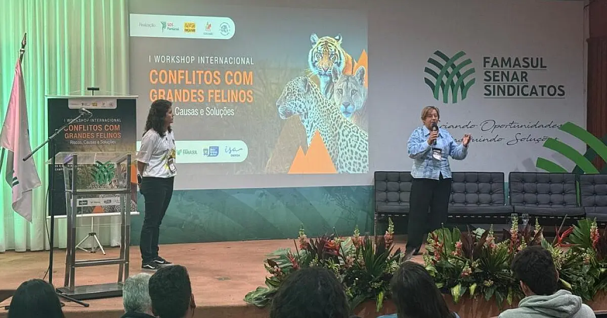 Workshop internacional define diretrizes para lidar com grandes felinos