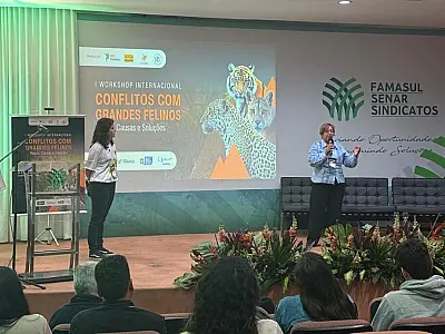 Workshop internacional define diretrizes para lidar com grandes felinos