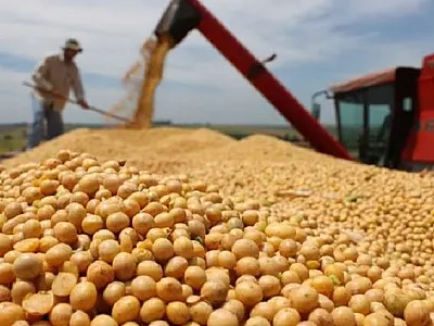 Produção agrícola de MS deve atingir 75,3 milhões de toneladas na safra deste ano