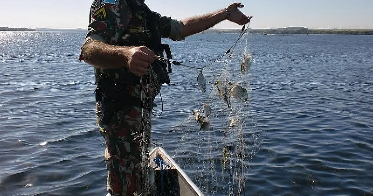 PMA apreende 1 km de redes de pesca armadas no lago da Usina Sérgio Motta e solta 20 kg de pescado