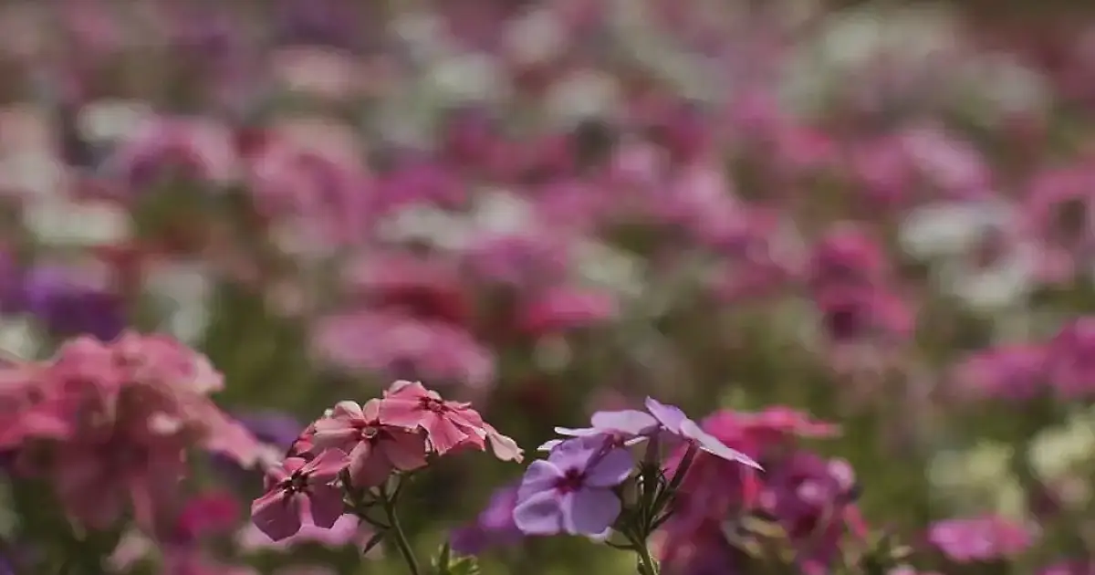 Primavera começa com chegada de frente fria, temporais e fortes ventos