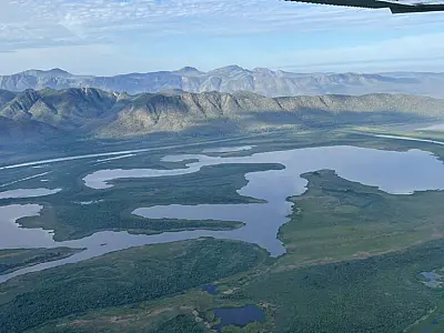 MS celebra Dia Nacional das RPPNs com mais de 153 mil hectares de áreas preservadas