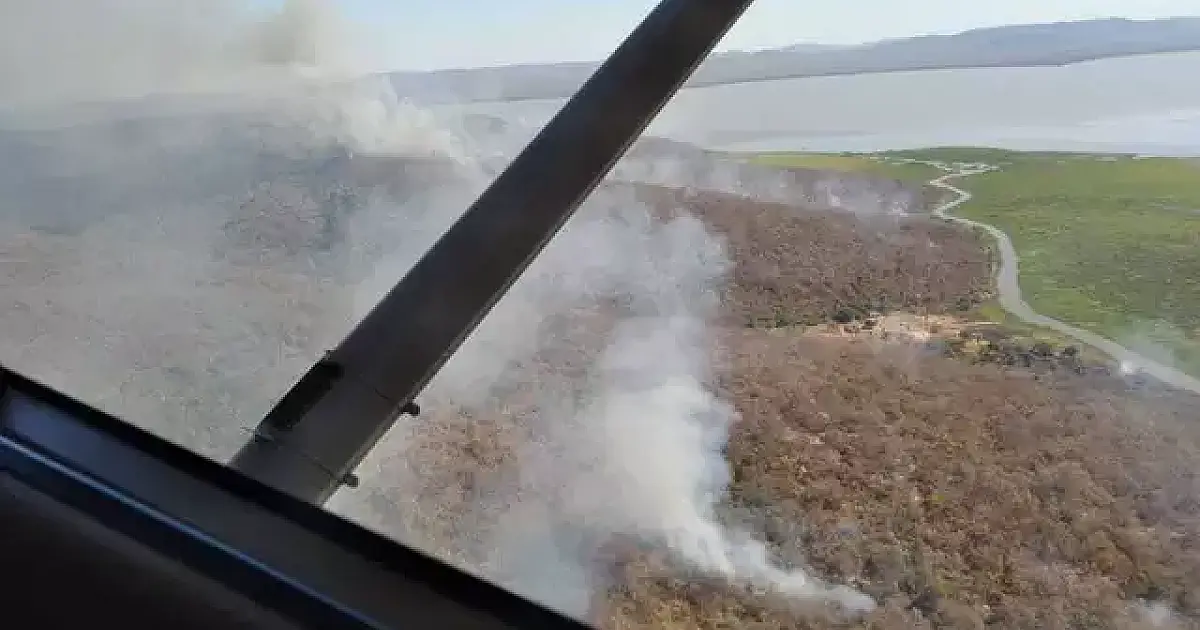 Imasul multou 95 fazendas em R$ 85 milhões por queimadas em MS