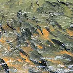 Estudo alerta que berço dos peixes do Pantanal está nas cabeceiras