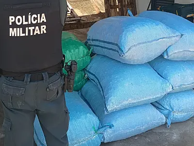 PM apreende mais de 600 kg de carga irregular na fronteira