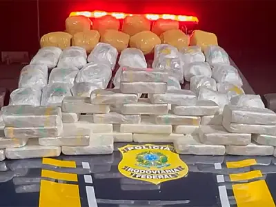 PRF apreende mais de 65 kg de drogas em ônibus de viagem na BR-262