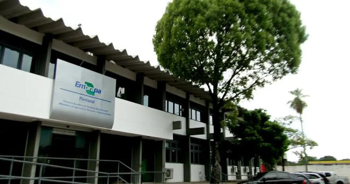 Inscrições no concurso da Embrapa é prorrogada até 17 de janeiro