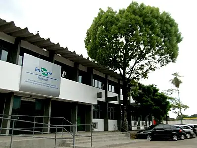 Inscrições no concurso da Embrapa é prorrogada até 17 de janeiro