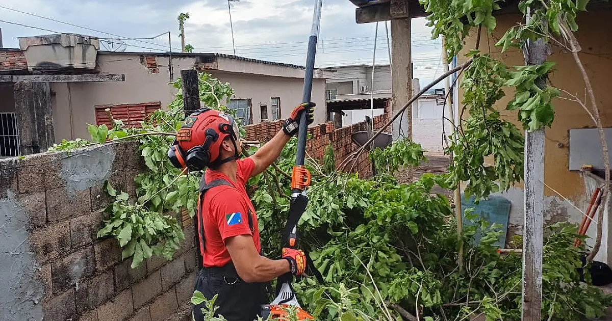 Ventania derrubou árvores em Corumbá e Ladário