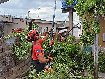 Ventania derrubou árvores em Corumbá e Ladário