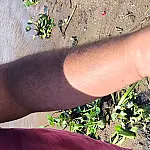 Homem picado por escorpião é resgatado no Pantanal