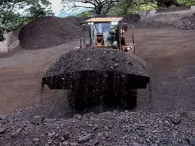 Empreendimentos no Pantanal recebem aval ambiental com baixa compensação