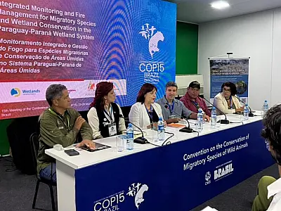 Ciência e saber tradicional se unem no combate ao fogo no Pantanal