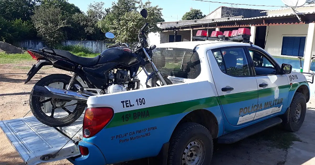PMA é chamada para capturar tamanduá e recupera veículo furtado