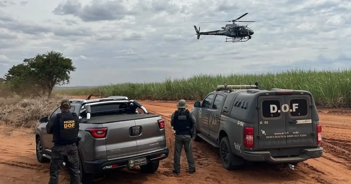 Apreensões de drogas em MS crescem 151% no 1&ordm; trimestre