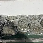 Mulher é presa com 2,5kg de skunk em fiscalização no Buraco das Pirinhas