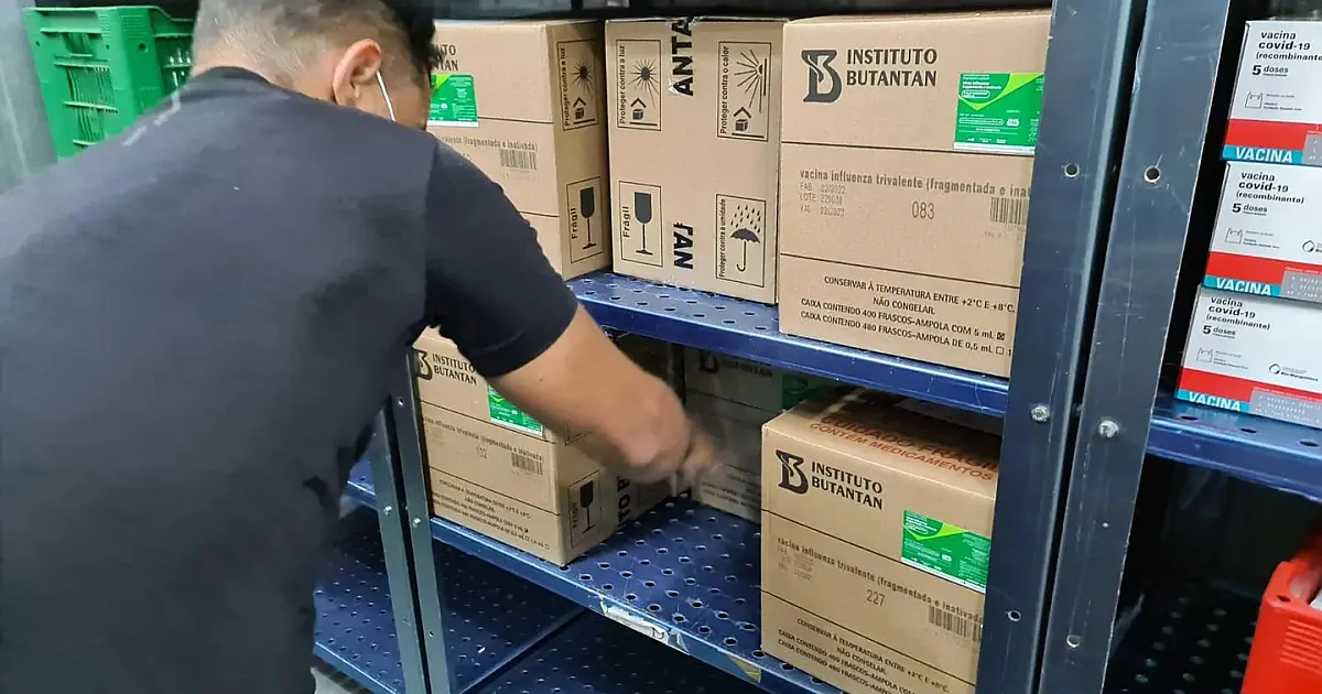 MS recebe primeira remessa com 88 mil doses de vacina contra a Influenza