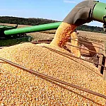 Comércio exterior de MS soma US$ 2,51 Bilhões no primeiro trimestre de 2026