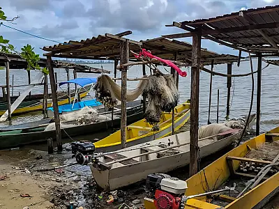 Gestão do seguro-defeso passará para Ministério do Trabalho em outubro