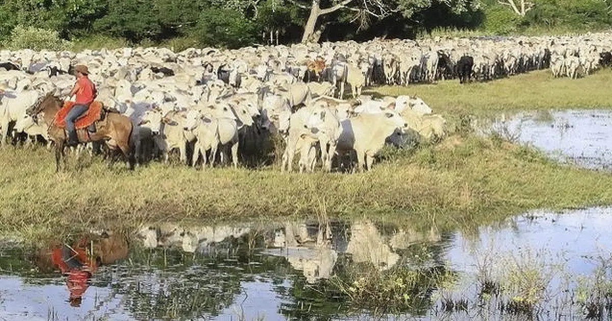 PIB cresce 1,4% no primeiro trimestre de 2025