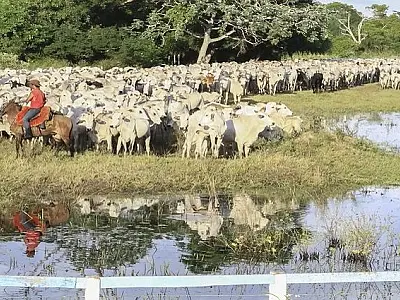 PIB cresce 1,4% no primeiro trimestre de 2025