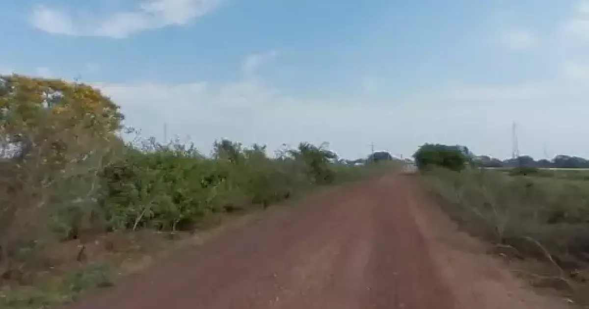 Licitação de R$ 68,2 milhões prevê obras em 89 km da Estrada Parque