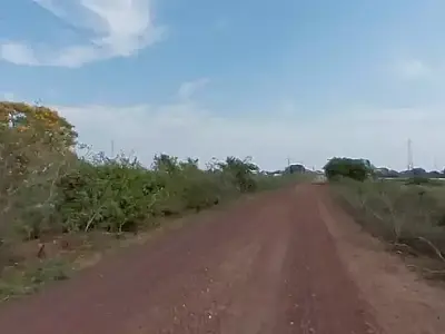 Licitação de R$ 68,2 milhões prevê obras em 89 km da Estrada Parque