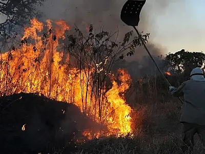 Decreto federal de emergência ambiental no Pantanal é prorrogado até fevereiro de 2025