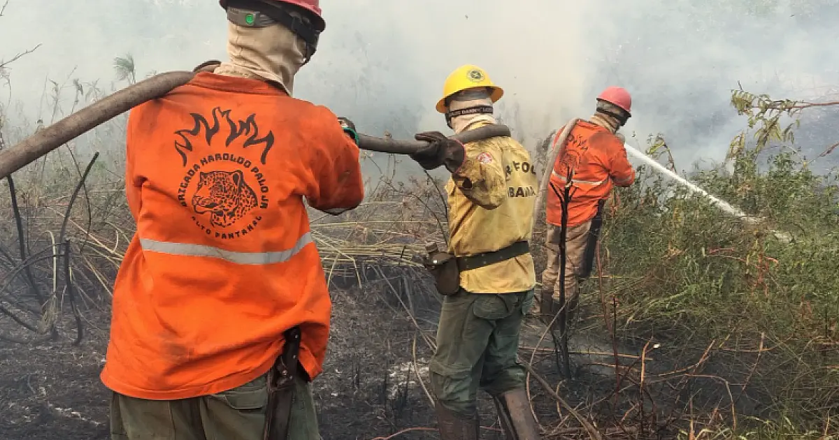 Brigadas Voluntárias do Pantanal concorrem ao Prêmio Faz a Diferença 2025
