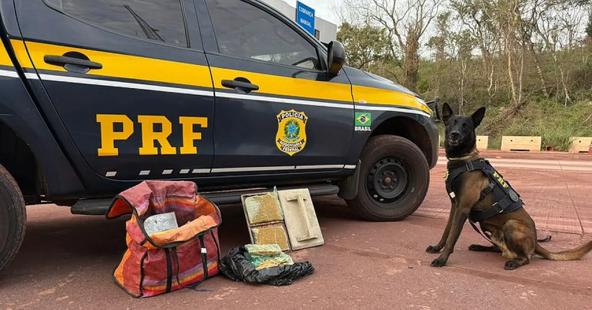 Com cães farejadores identificam 5kg de cocaína na bagagem de boliviano
