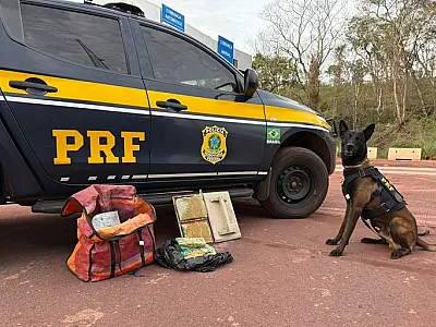 Com cães farejadores identificam 5kg de cocaína na bagagem de boliviano