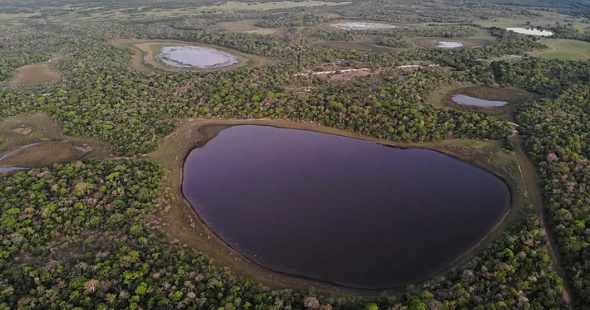 Inscrições abertas para o 1&ordm; Simpósio de Economia Circular no Pantanal