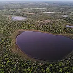 Dia Mundial do Meio Ambiente alerta sobre o efeito das mudanças climáticas