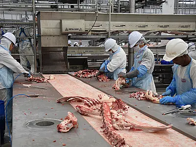 Setor industrial de MS cria mais de 1.250 empregos em setembro, aponta Fiems