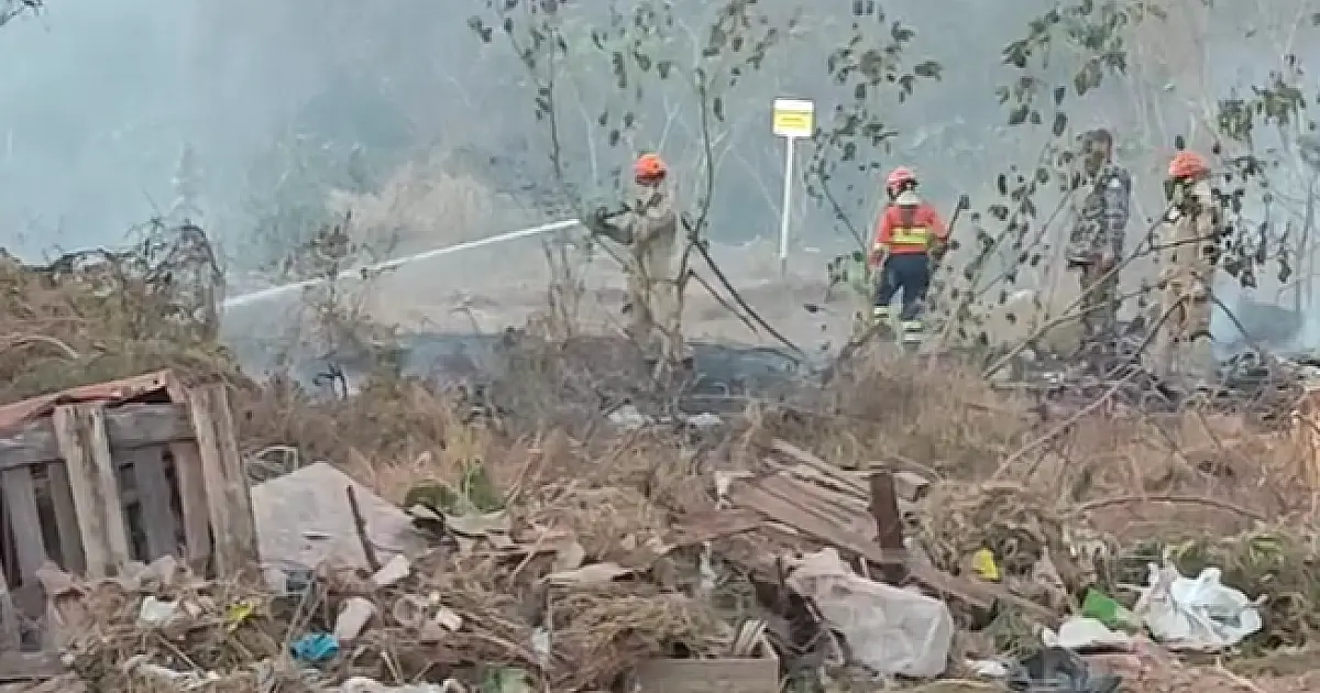 Bombeiros registram cinco incêndios urbanos em 24 horas; já são 53 em agosto