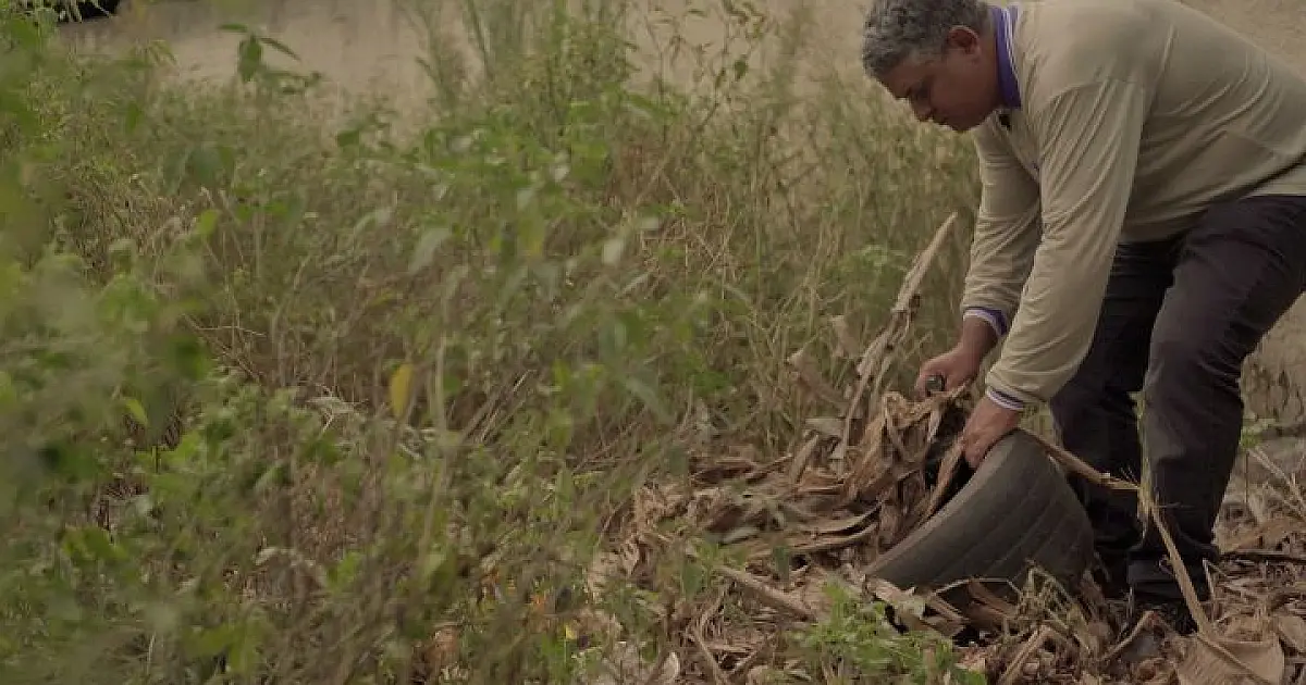 MS registra 8.252 casos confirmados de dengue