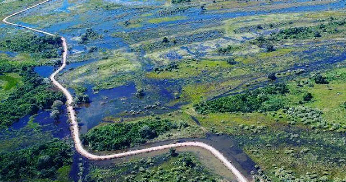 Lei do Pantanal corre risco de ficar para 2024