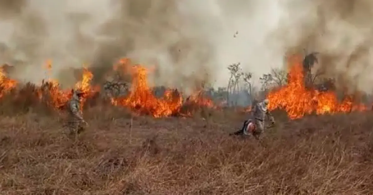 Fogo continua nas regiões do Nabileque, Jatobazinho, Serra do Amolar e Paiaguás