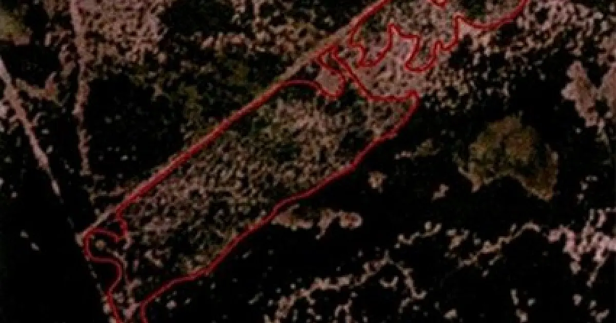 MPMS apura supressão irregular de vegetação nativa no Pantanal em Corumbá