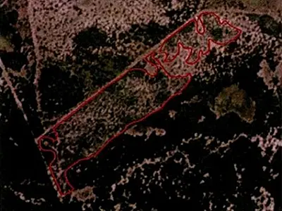 MPMS apura supressão irregular de vegetação nativa no Pantanal em Corumbá