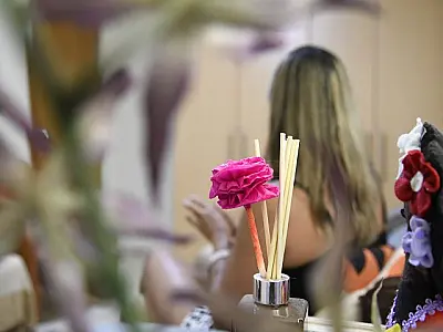 Leis garantem auxílio a vítimas de violência e mulheres chefes de família em MS