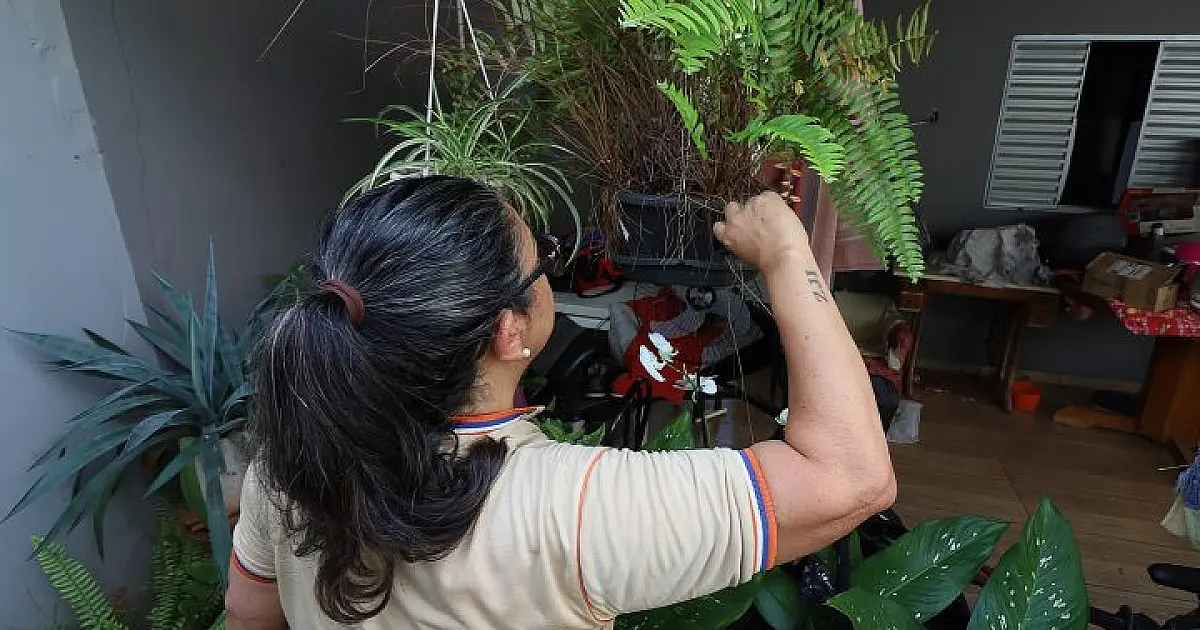 Mato Grosso do Sul registra 7.778 casos confirmados de dengue