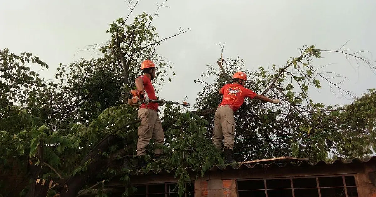 Chuva desta quinta derruba árvore sobre casa no Ceac