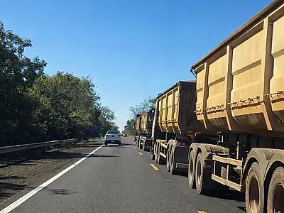 BR-262: omissão virou política pública