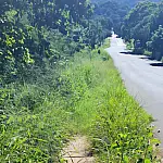 Cazarin cobra serviços urgentes de limpeza no conjunto Guanabara