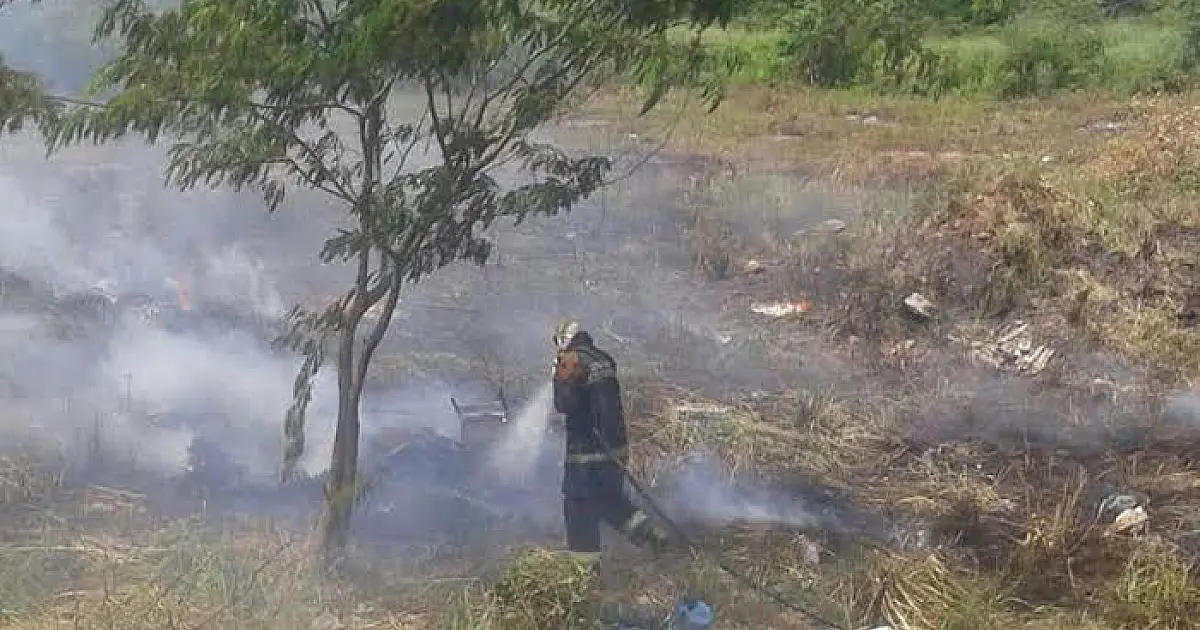 Incêndio destrói 1ha de mata nativa no Previsul