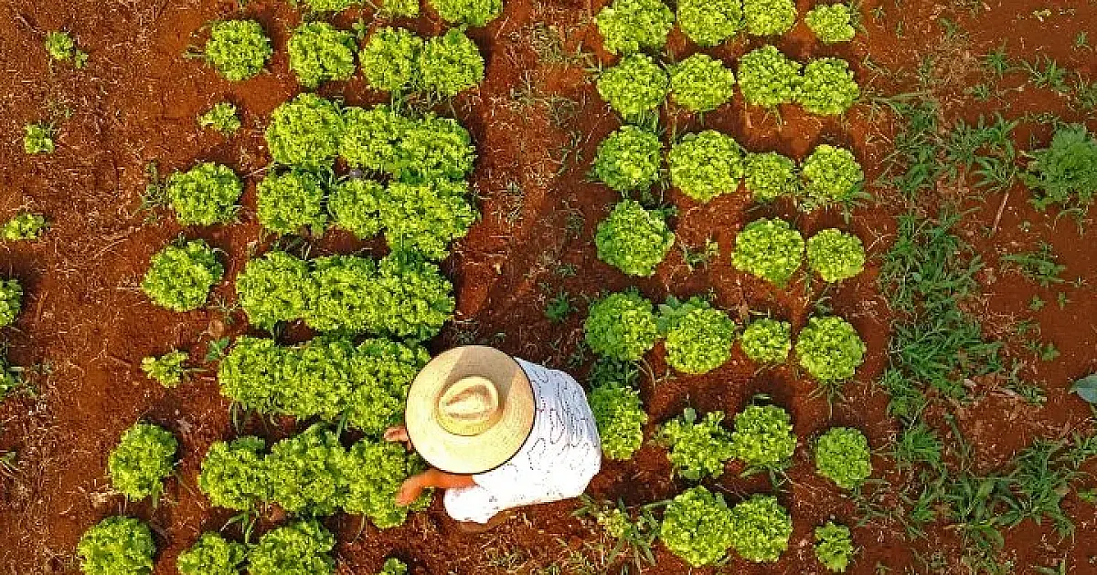 Famílias de Corumbá começam a receber recursos do Fomento Rural