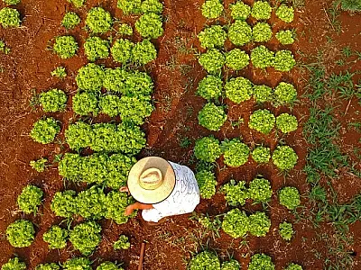 Famílias de Corumbá começam a receber recursos do Fomento Rural