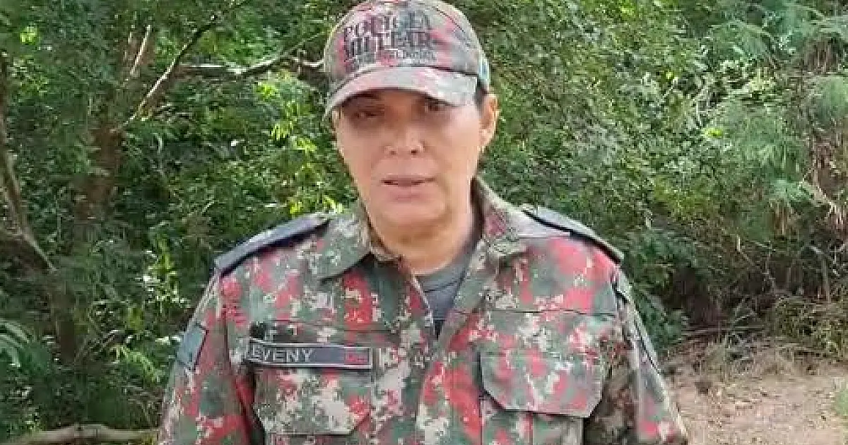 PMA orienta como proceder em atropelamentos de animais silvestres