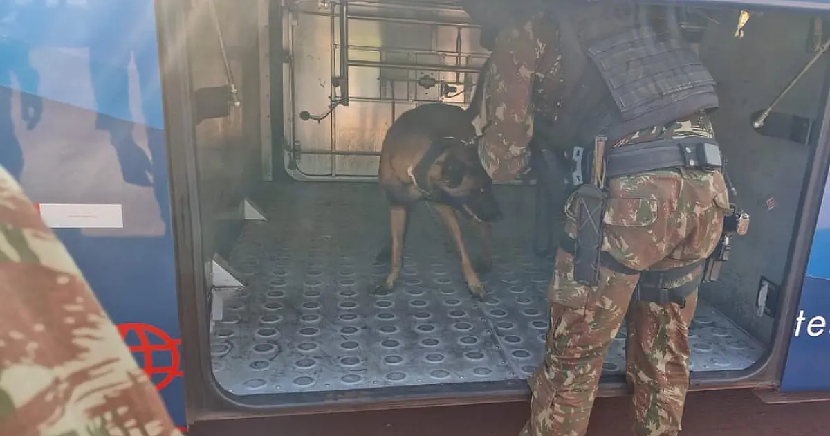 Apreensão de cocaína em ônibus clandestino termina com dois detidos